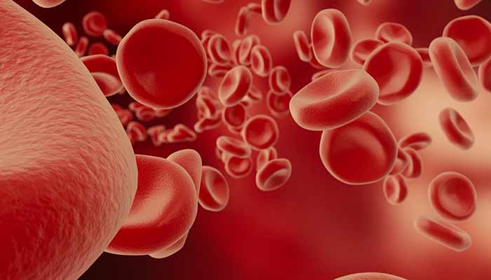 nizek hemoglobin